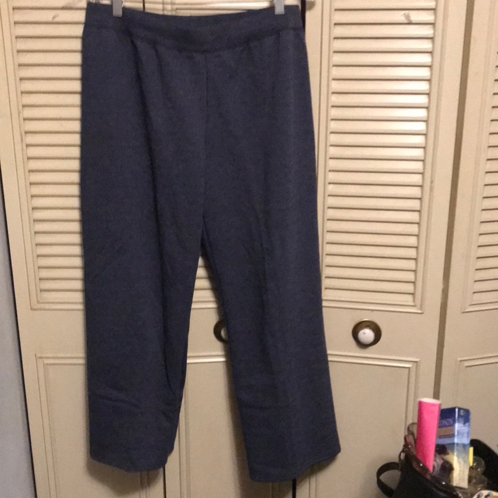Hanes sweat pants lg.